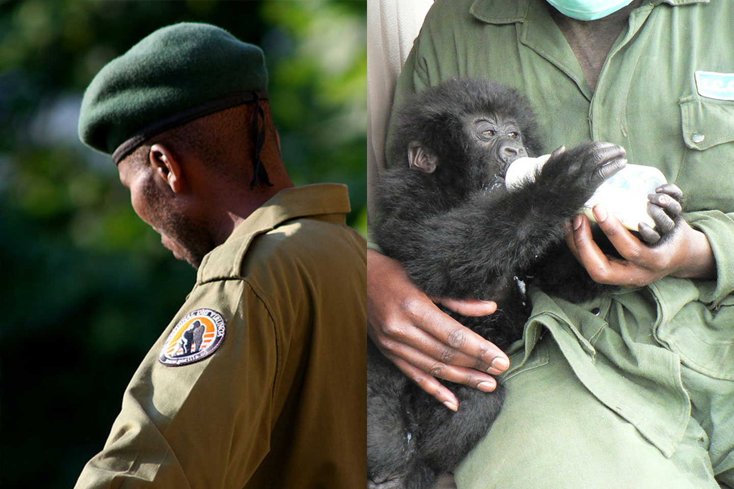 Virunga National Park