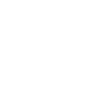 Nustef Baking Logo